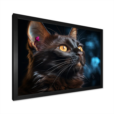 «Burmese Beauty Black Cat», reproduction sur toile