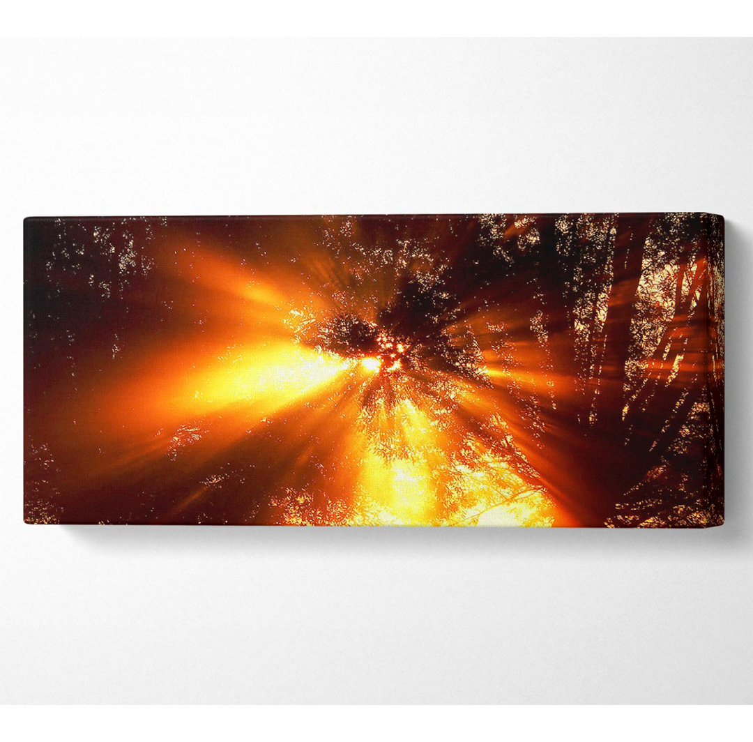 Sun Blaze Above The Winter Tree - Kunstdrucke auf Leinwand