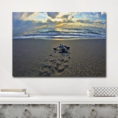 " Turtle " by Chris Doherty