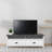 Eagan TV Stand with Storage