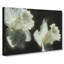 White Daffodils - Wrapped Canvas-61876615