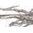 Root Wall Art Silver