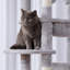Spacieuse tour d'arbre à chat à plusieurs niveaux - Havre de paix confortable pour les chats d'intérieur-98934555-98934556
