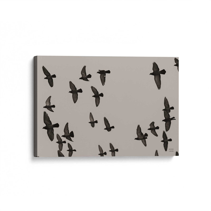 «Flock I» par Nathan Larson, reproduction d'art sur toile, Toile tendue, Ne s’applique pas, H 20 po x l 30 po