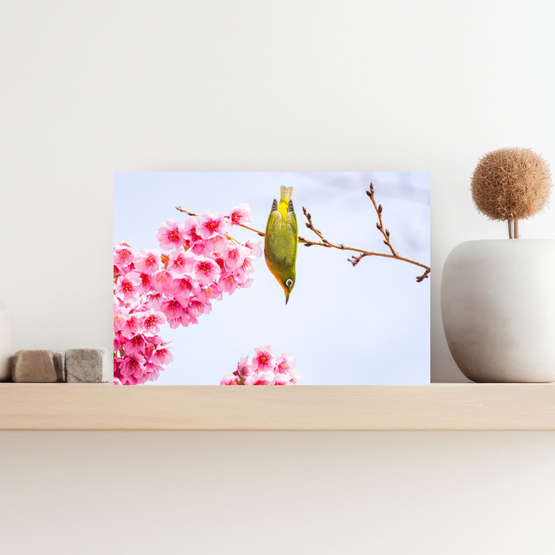 Vibrant Cherry Blossoms Bird by JUNKO TORIKAI - Wrapped Canvas Print, 45.72 cm H x 30.48 cm W