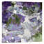" Dynamic IV " by Mimi Garcia-20922240-73091147-73091148