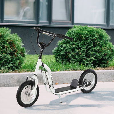 Canas Scooter with Handbrake