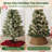Plastic Tree Collar-137655583