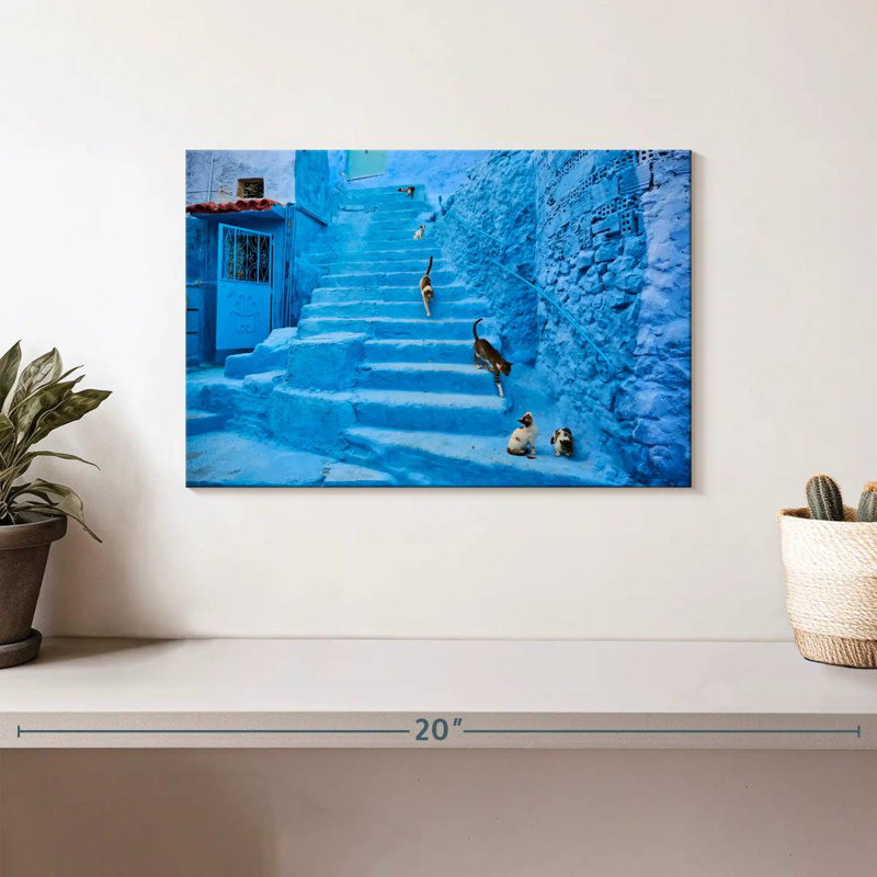 Chats Brampt Chefchaouen, H 8 po x l 12 po