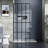 Shower Door