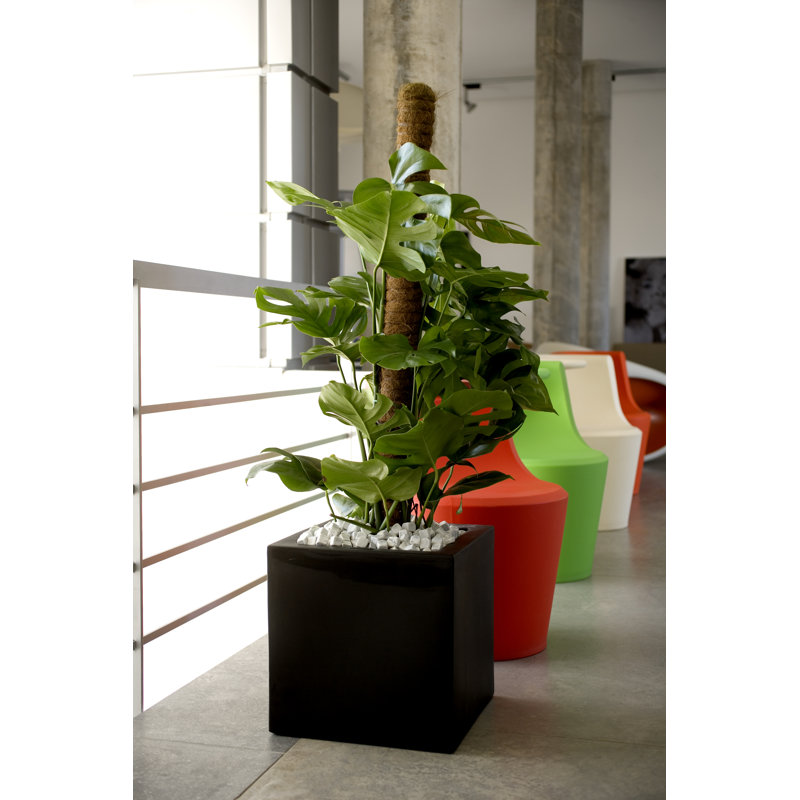 Pot de fleurs en résine Nano, H 7 po x l 7 po x P 7 po, Noir