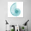 Turquoise Sea Shell - Wrapped Canvas Print-1616621495