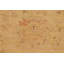 Tapis brun clair oriental en laine noué à la main 9 pi 4 po x 11 pi 1 po Oriental