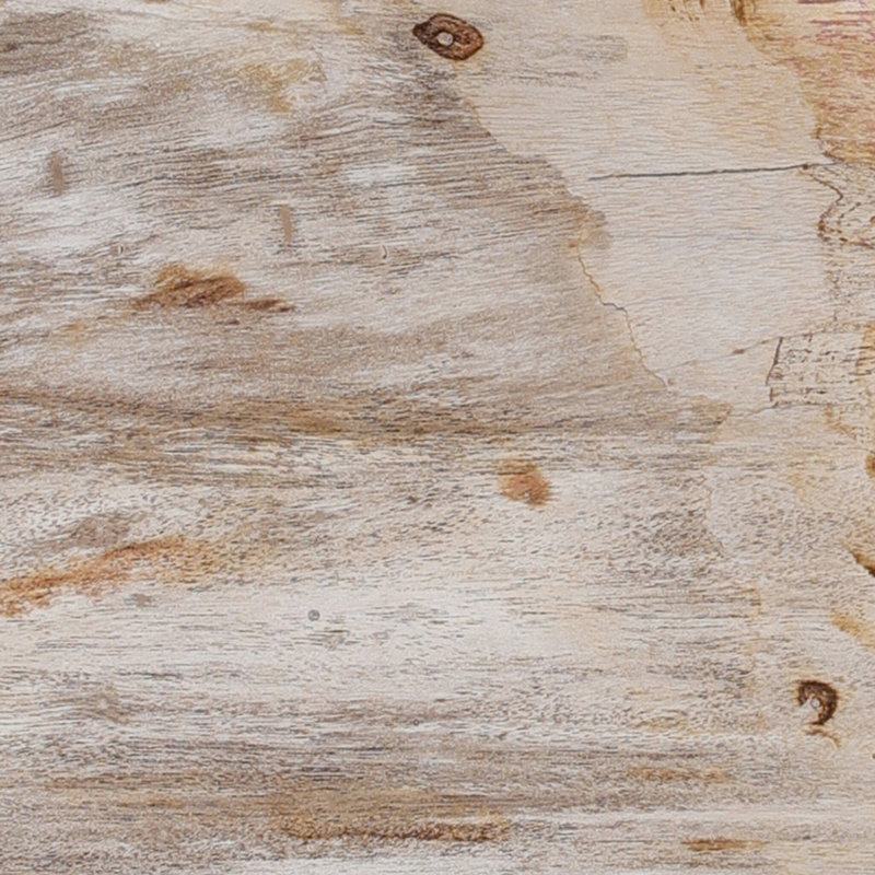 Petrified Wood Knot-Dark Petrified Wood