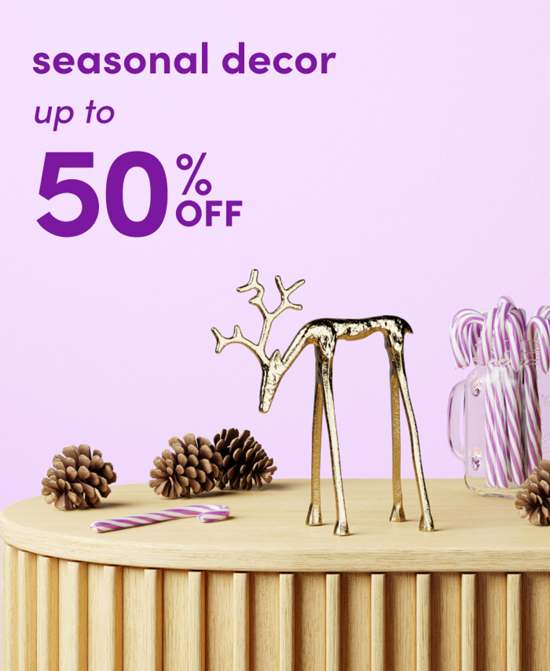 Seasonal Decor up to 50% OFF