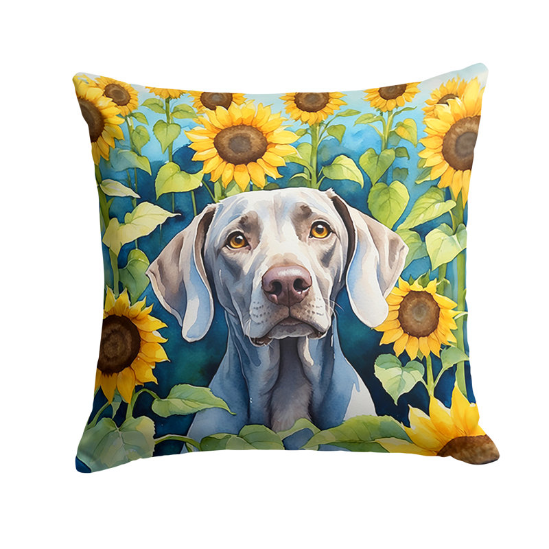 Coussin décoratif intérieur / extérieur Autre / Sans motif, H 14 po x l 14 po