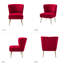 Euclid Velvet Accent Chair with Metal Legs-882683953