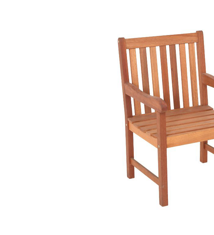 Adabpreet Patio Dining Armchair