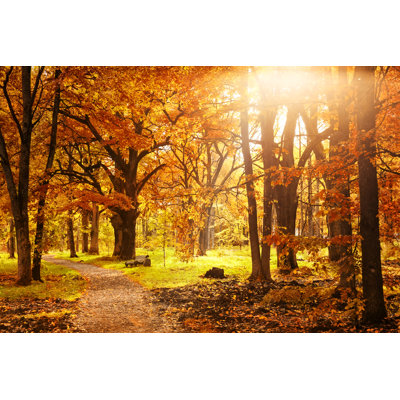 Old Wooden Bench In The Autumn Park - Wrapped Canvas Print