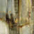 Glass Coat