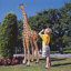 Statue de jardin Mombasa la girafe