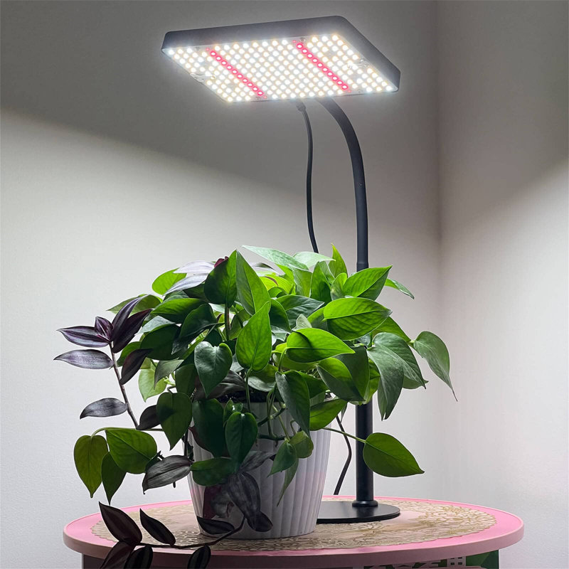 Ivy Bronx Grow Light