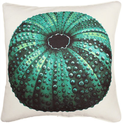  Coussin Sea Urchin