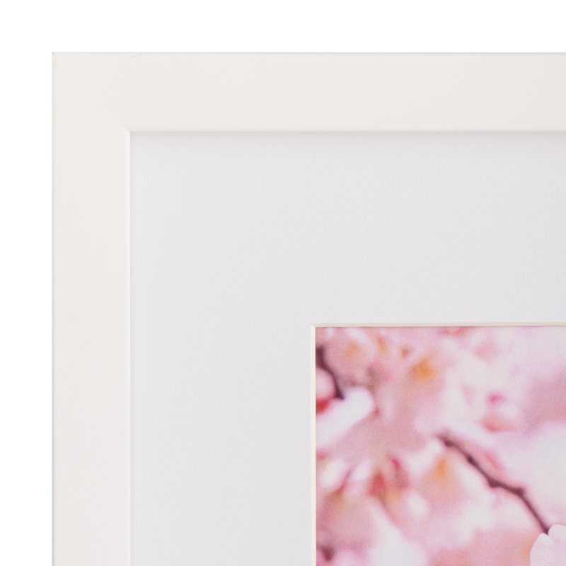 Cadre photo Snap Linear, 8 po x 10 po, 11 pi x 14 po, Blanc