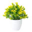 Centre de table fleurs en pot-232208209