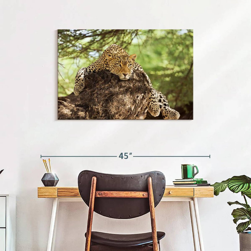 Brampt Leopard Taking It Easy In Kenya I, 24" H x 36" W