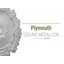 Médaillon de plafond Endurathane Plymouth, DO 16 3/4 po x P 1 3/8 po (convient aux auvents jusqu'à 1 5/8 po), finition de foyer en pierre peinte à la main-27784145