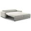 Belton King Sofa Sleeper-996083556