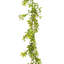 Guirlande 6 'Boxwood