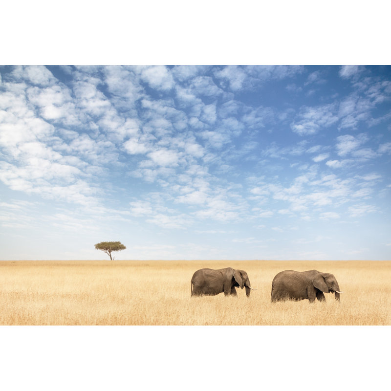 Emera Two Elephants - Wrapped Canvas Print, 30cm H x 46cm W x 3.8cm D