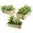 Clive Handmade Wood Planter Box-1843827523