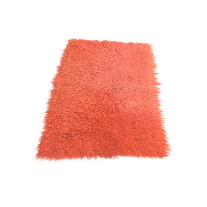 Iraheta Orange Rug