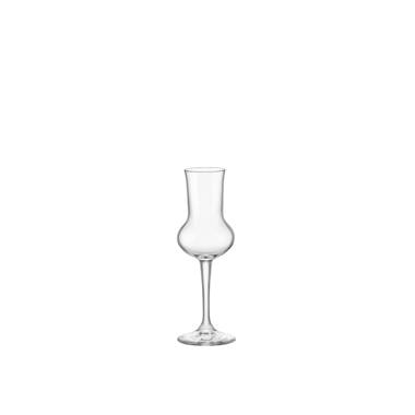 Bormioli Rocco Riserva 13.25 oz. Sparkling Wine Glasses (Set of 6)