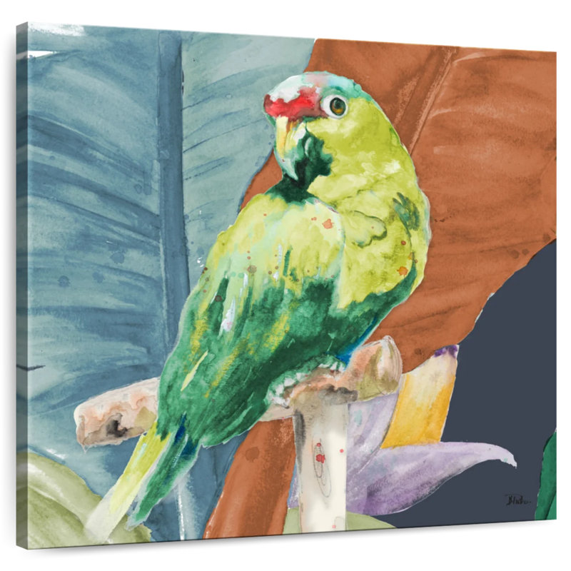 Brampt, perroquet tropical, H 10 po x l 10 po