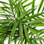 40cm Faux Palm Plant