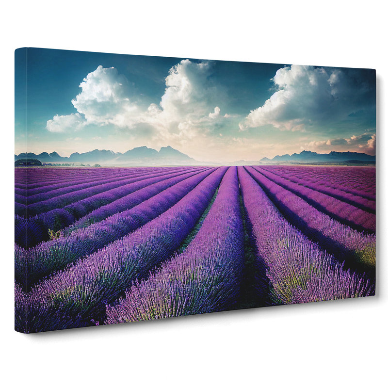 Creative Lavender Flower Field - Wrapped Canvas, 50cm H x 76cm W x 3cm D