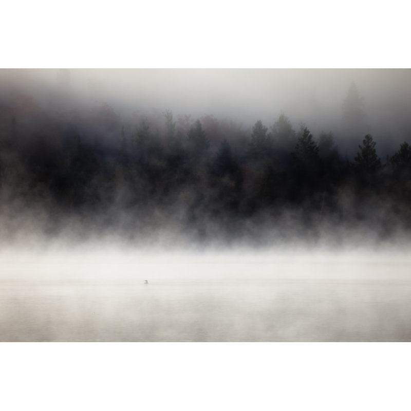 Foggy Forest by Igorkov - Wrapped Canvas Print, 30cm H x 46cm W