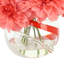 Dahlia Arranged in a Glass Vase