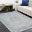 Samantha Oriental Area Rug in Pewter-64522871