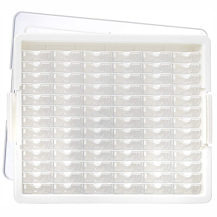 Rebrilliant Organizer Plastic Craft Case & Reviews