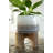 Charlack Pot Planter