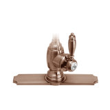 Traditional 10" Escutcheon Plate