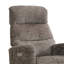 Chandani 68cm Wide Swivel Standard Recliner-629732257