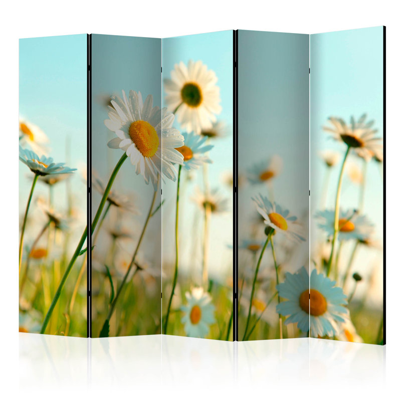 Mushegh 172cm H Folding Room Divider, 5, White Daisies
