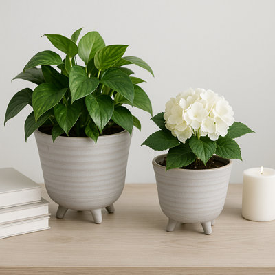 Gracie Oaks Unique Footed Planters, 2-Pieces