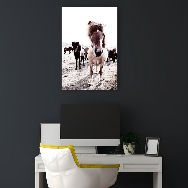 Islande, cheval, Rikka, art contemporain cheval
